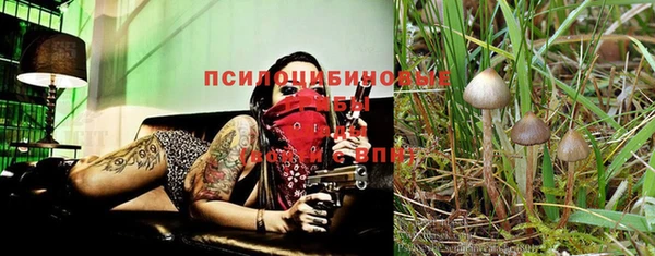 MESCALINE Балахна